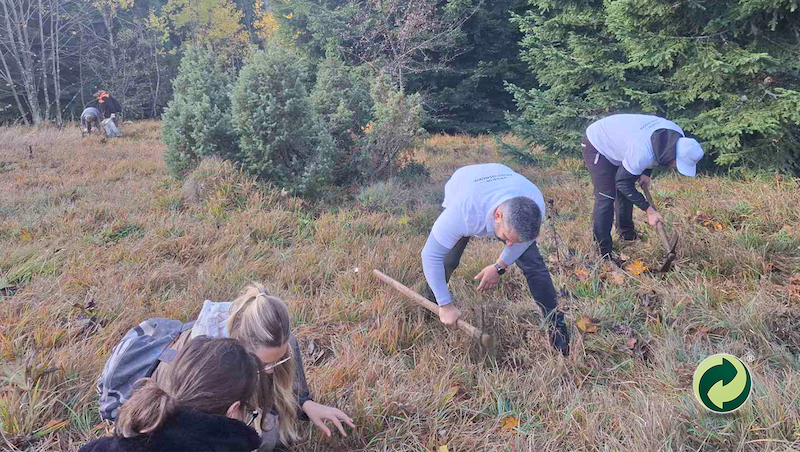 01 posumljavanje.png