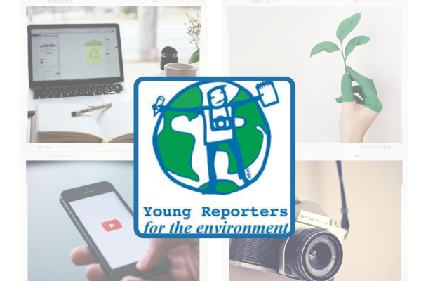 Zoom Meet-up s učenicima na temu takmičenja Mladi Eko Reporteri
